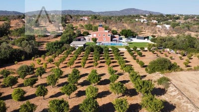 /international/pt/pechao-faro-310106263416/
