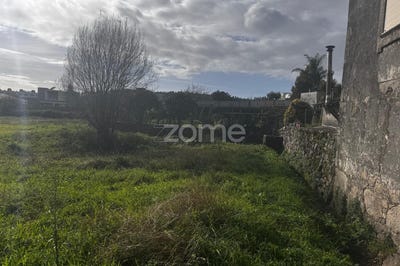 /international/pt/maia-porto-310104618458/