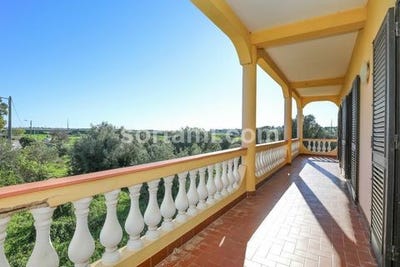 /international/pt/silves-faro-120089932163/