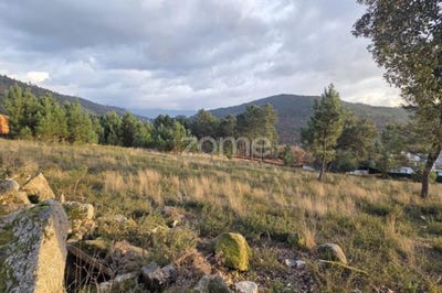 /international/pt/mondim-de-basto-vila-real-310107062043/