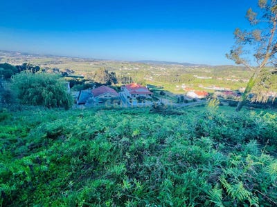 /international/pt/r-principal-91-2460-portugal-vimeiro-lisbon-310107521702/