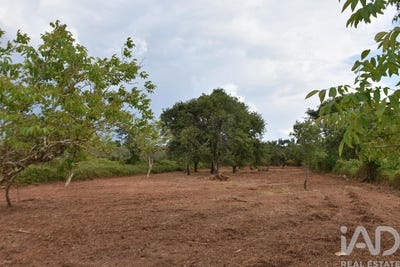 /international/pt/santarem-santarem-310094536163/