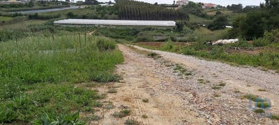 /international/pt/lisboa-lisbon-310095269411/