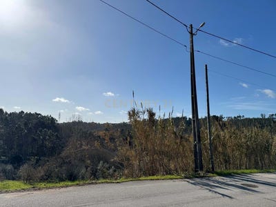 /international/pt/casalinho-pombal-portugal-pombal-braga-310106969288/