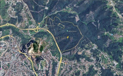 /international/pt/estrada-lagar-do-seminario-coimbra-portugal-santo-antonio-dos-olivais-coimbra-310104491411/