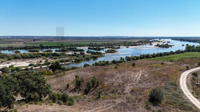 /international/pt/sao-vicente-do-paul-santarem-310108593147/