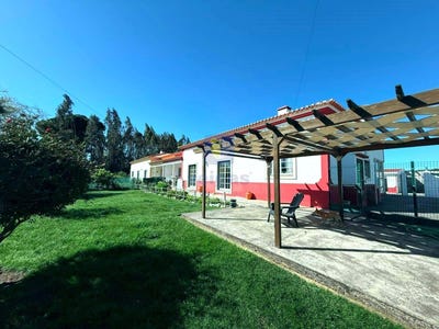 /international/pt/nadadouro-leiria-310098442756/