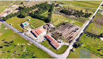 /international/pt/coruche-santarem-310106197677/