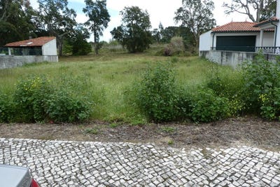 /international/pt/condeixa-a-nova-coimbra-310103488349/