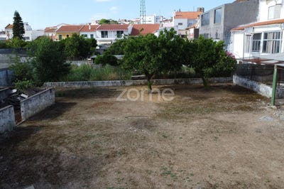 /international/pt/avis-portalegre-310107944677/?lang=it