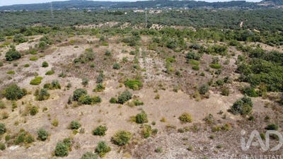 /international/pt/santarem-santarem-310103455682/