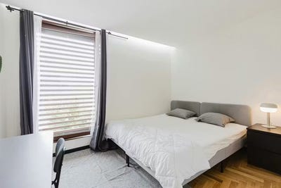 /international/pt/rua-do-pico-porto-braga-310108241409/