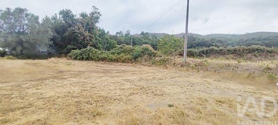 /international/pt/viana-do-castelo-viana-do-castelo-310105811245/