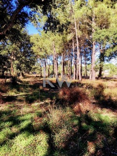 /international/pt/palmela-setubal-municipality-310101442740/?lang=en