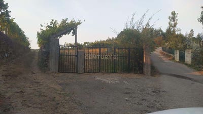 /international/pt/rua-da-cruz-arouca-portugal-urro-braganca-310108401850/
