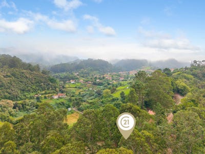 /international/pt/caminho-do-serrado-santana-portugal-ilha-da-madeira-madeira-310107237758/