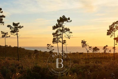/international/pt/melides-setubal-municipality-310100604991/