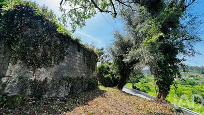 /international/pt/porto-braga-310108211726/