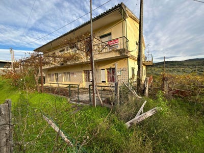 /international/pt/vale-de-lobo-mirandela-portugal-cedaes-braganca-310105991022/