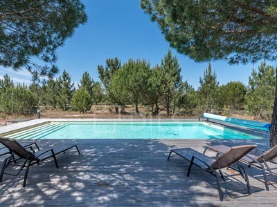 /international/pt/comporta-setubal-municipality-310100144147/