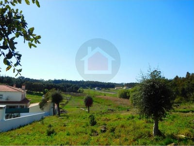 /international/pt/nadadouro-leiria-120054862117/