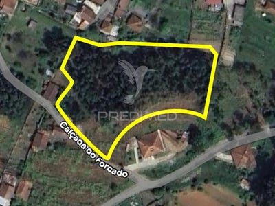 /international/pt/teloes-amarante-porto-310098114579/
