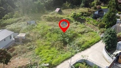 /international/pt/sao-vicente-madeira-310103138176/