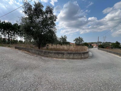 /international/pt/rua-da-volta-bidoeira-de-cima-leiria-310106687850/