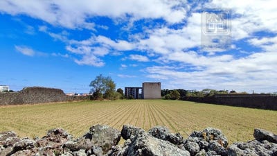 /international/pt/sao-jose-azores-310103444367/