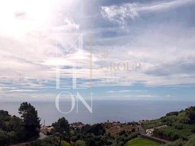 /international/pt/canhas-madeira-310107359594/