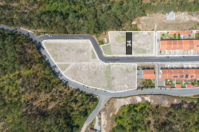 /international/pt/oliveira-de-azemeis-aveiro-310101882362/