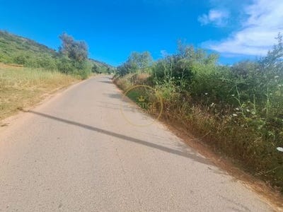 /international/pt/albufeira-faro-310099971748/