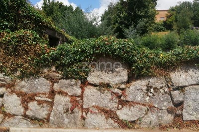 /international/pt/paredes-de-coura-viana-do-castelo-310104283063/