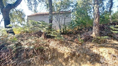/international/pt/pedrogao-grande-leiria-310106083007/