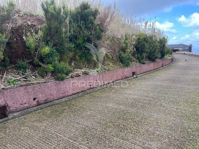 /international/pt/ponta-do-pargo-calheta-madeira-310105027645/