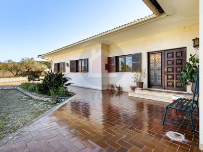 /international/pt/minde-santarem-310107300686/