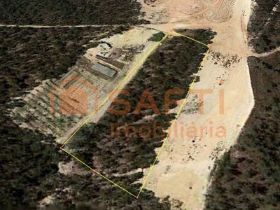 /international/pt/uniao-freguesias-santa-maria-lisbon-310100489632/