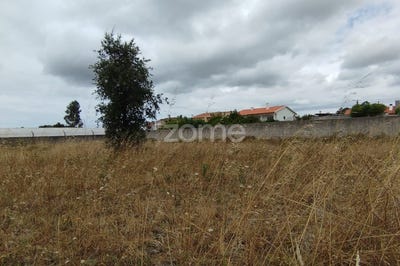 /international/pt/marinha-grande-leiria-310100904502/?lang=de