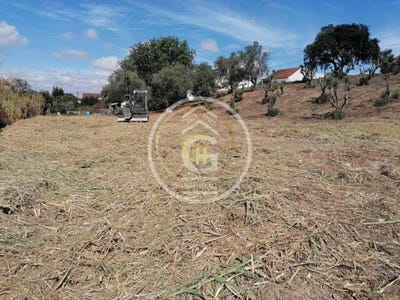 /international/pt/alpiarca-santarem-310101512668/