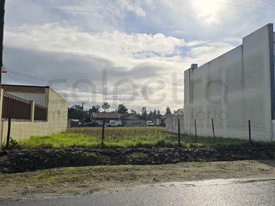 /international/pt/gafanha-da-nazare-aveiro-310106937829/