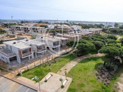 /international/pt/gambelas-faro-faro-310104810568/