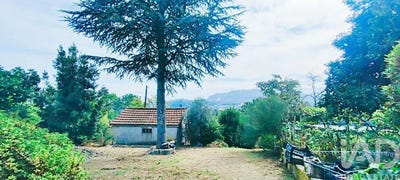 /international/pt/viana-do-castelo-viana-do-castelo-310105828053/