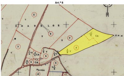 /international/pt/carnota-lisbon-310101282497/?lang=zh-tw