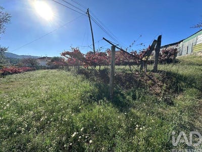 /international/pt/viana-do-castelo-viana-do-castelo-310103457677/