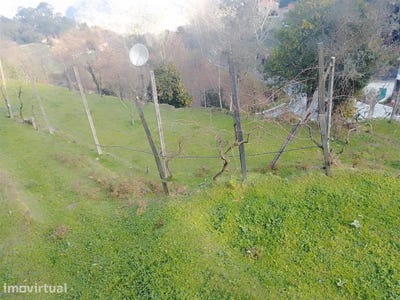 /international/pt/cinfaes-viseu-310097722120/