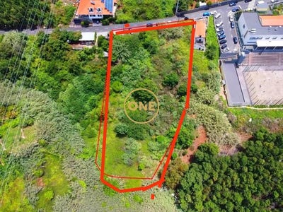 /international/pt/ribeira-brava-madeira-310108154589/
