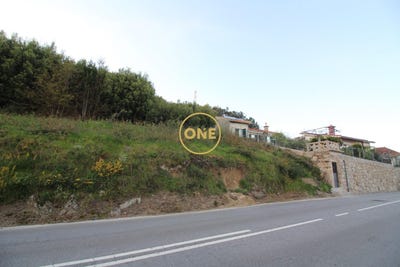/international/pt/ruilhe-braga-310108154619/