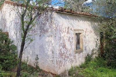 /international/pt/querenca-faro-310100037748/