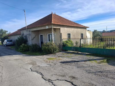 /international/pt/r-do-carvalhinho-5-2480-portugal-calvaria-de-cima-leiria-310103995997/