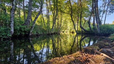 /international/pt/quinta-dos-carvalhos-satao-portugal-ferreira-de-aves-viseu-310101130140/